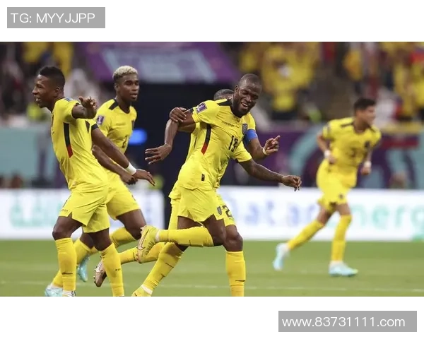 2022年阿根廷与厄瓜多尔激战回顾及精彩瞬间分析