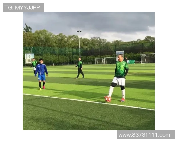 南京足球队实力分析与表现评估：数据透视与趋势解读