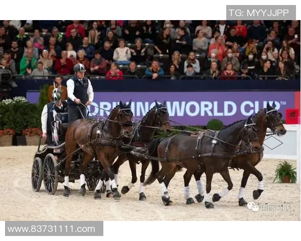 阿雅克斯主场迎战梅斯争夺胜利的激烈对决即将上演