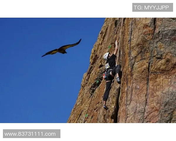 张丽专访：从初学者到攀岩高手的心路历程与成长故事